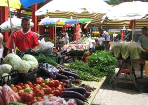 Charter Bareboat Sailing
