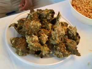 2009 croatia (guy) (30)