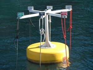 Charter Bareboat - Capraia Mooring